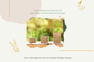 Cara Mengatur Keuangan Keluarga