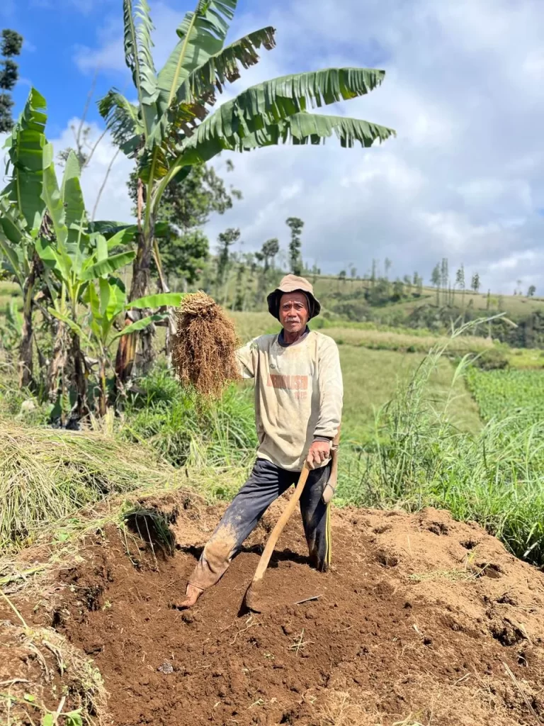 petani akar wangi garut jawa barat